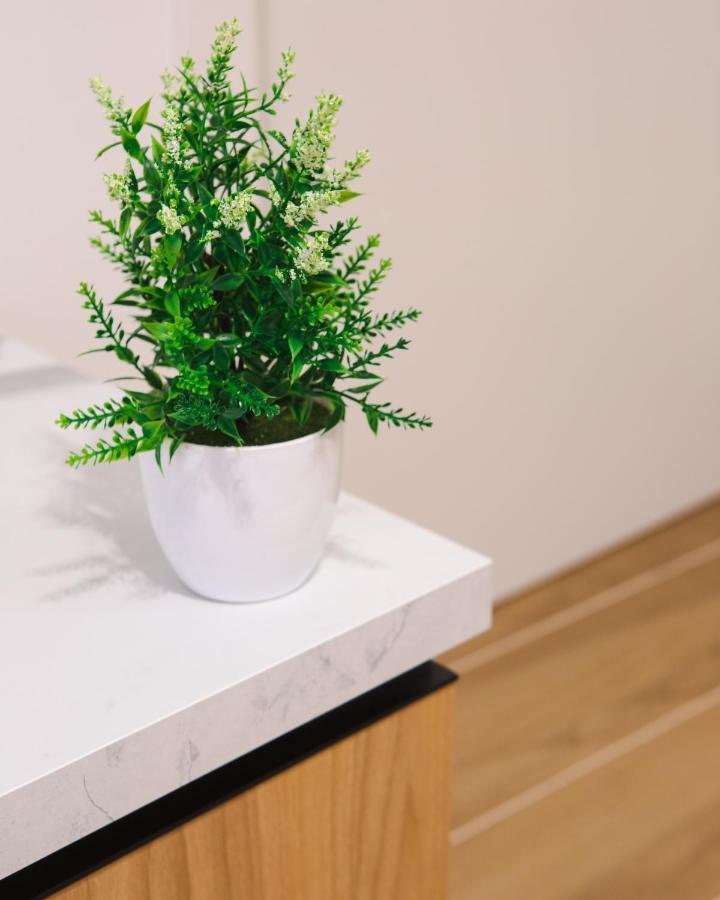 Apartament Vernaci Loft Terrasini Zewnętrze zdjęcie